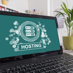 Web Hosting Sub Host