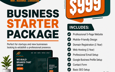 Launch Your Business with Confidence: The WEBUCON Business Starter Package